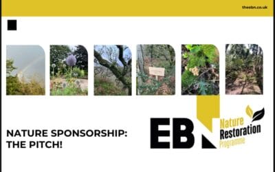 Nature Sponsorship: The Pitch!