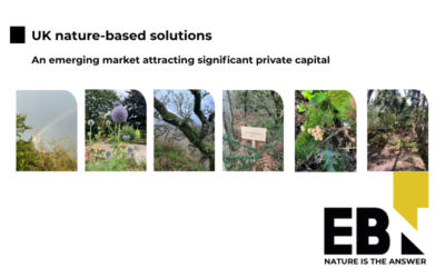 UK Nature Business Market
