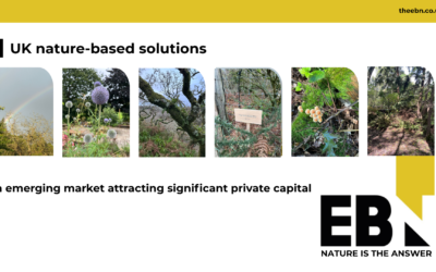 UK Nature Business Market
